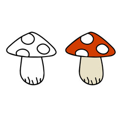 Poisonous mushroom. Fly agaric with red cap.