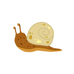 Snail with shell. Small brown insect. Forest slow slimy animal.