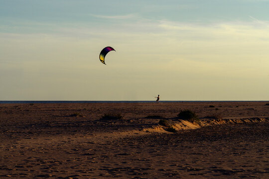 Kite on the beach at the sunset, Vendée, France