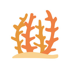 Corals on reef. Underwater plants. Exotic tropical undersea.