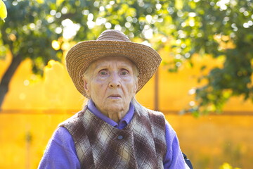 Grandma is in the garden. Portrait of a grandmother in nature close-up. She is wearing a hat and...