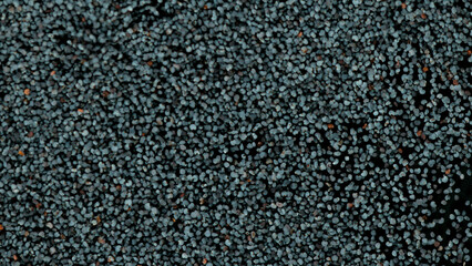 Freeze motion of ripe poppy heads. Dry plant close-up.