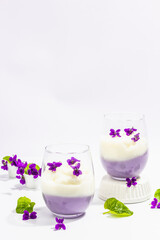 Obraz na płótnie Canvas Vegan panna cotta dessert with fresh violet flower. Striped very peri color food, trendy stand