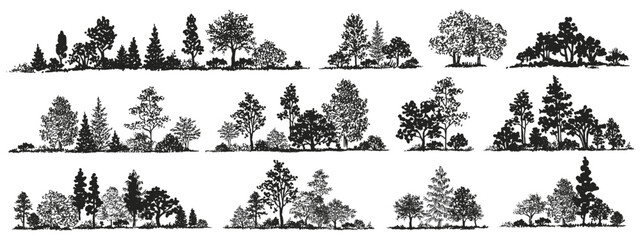 Trees sketch set. Hand drawn graphic forest. Composition of different trees, shrubs and grass isolated on white background. Vector illustration