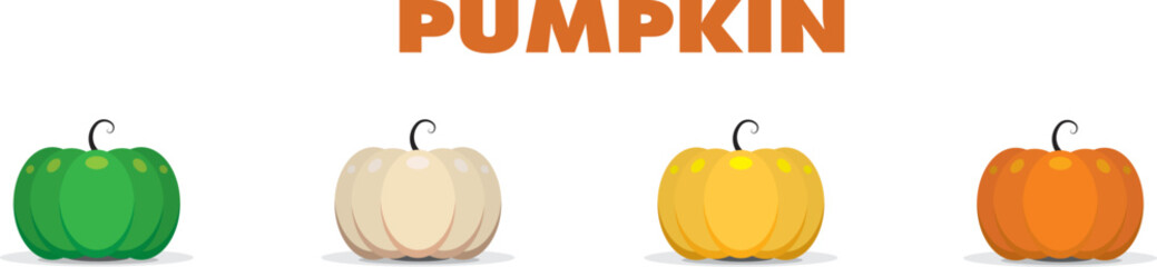 Set of pumpkins vector illustration on white background  for your design thanksgiving and halloween elements.