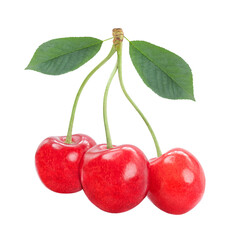 Three sweet cherries together with leaves isolated on transparent background.