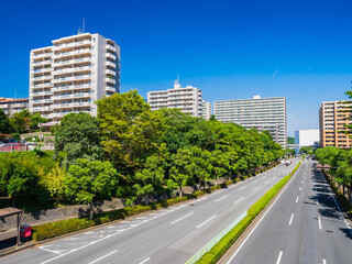 Obraz premium 住宅地の幹線道路 多摩ニュータウン