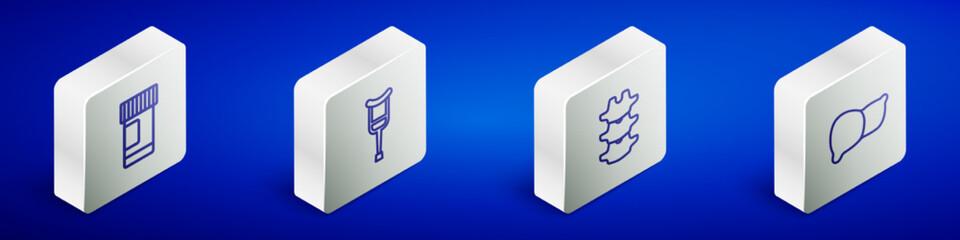 Set Isometric line Medicine bottle and pills, Crutch or crutches, Human spine and organ liver icon. Vector