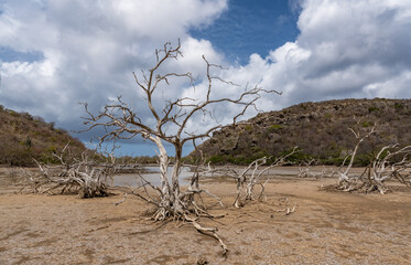  Views around the Caribbean Island of Curacao 