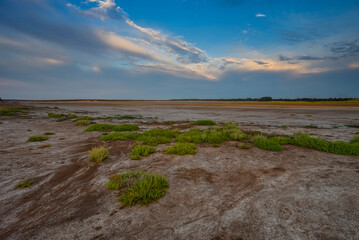 Saltpeter on the floor of a lagoon in a semi desert environment, La Pampa province, Patagonia, Argentina.