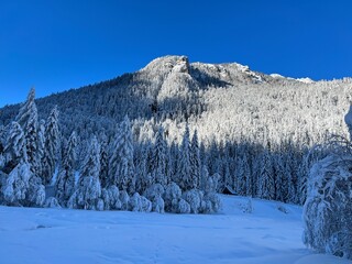 Winter landscape in Kranjska Gora, Slovenia
