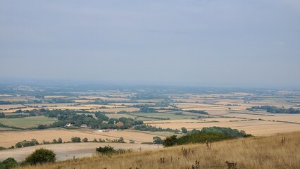 view from the hill