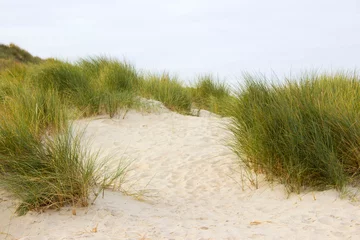 Papier Peint photo Mer du Nord, Pays-Bas the dunes in Renesse, Zeeland in the Netherlands