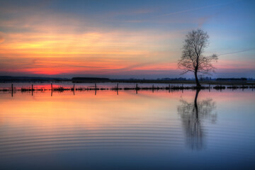 Fototapeta na wymiar Landscape sunset or sundown river Narew Poland Europe spring time meadows under water 