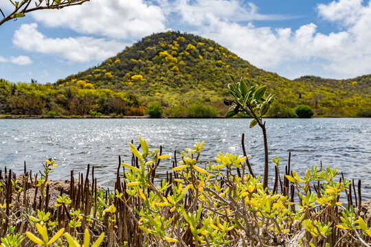  Views around the Caribbean island of Curacao
