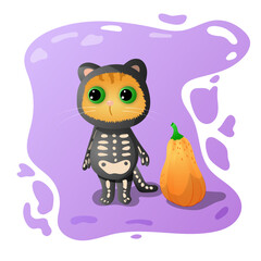 halloween cat with pumpkin