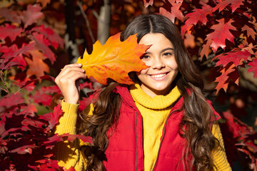 Naklejka na ściany i meble Autumn teen child portrait. cheerful child standing at seasonal beautiful autumn leaves