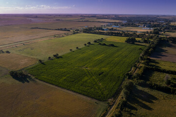 Naklejka premium Silo bag filled with soy beans, La Pampa Province, Patagonia, Argentina.