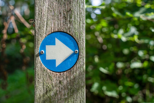 Blue arrow way marker sign on a trail