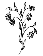 Line art flower drawing. PNG with transparent background.