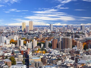 Fototapeta na wymiar Big city Tokyo, Japan