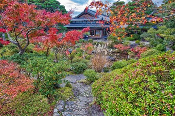 Fototapeta premium Japanese garden autumn in Nara, Japan
