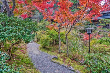 Nara autumn Japanese garden