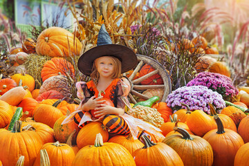 child girl als little cute witch with pumpkin outdoors at a farm fair
