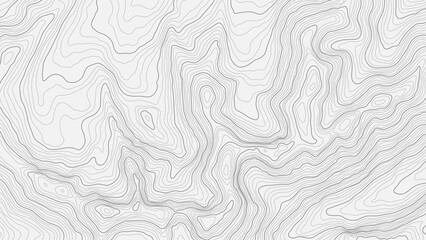 Fully editable and scalable vector illustration of topographic map on a light background. Great as an abstract background. - obrazy, fototapety, plakaty
