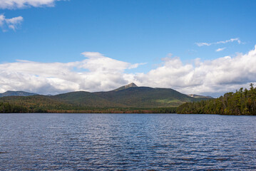 Autumn Landscape near lake