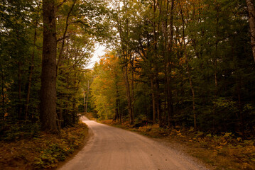 Autumn Landscape near lake