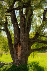 Autumn Landscape near lake