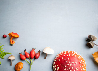 Autumn background, season, fall, forest fruits, mushrooms, amanita, fly agaric, white, blue, res