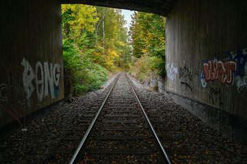 Fototapeta na wymiar Railway with autumn trees on the sides