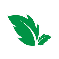 doodle leaf decoration