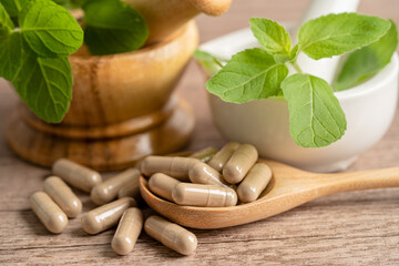 Alternative medicine herbal organic capsule with vitamin E omega 3 fish oil, mineral, drug with herbs leaf natural supplements for healthy good life.