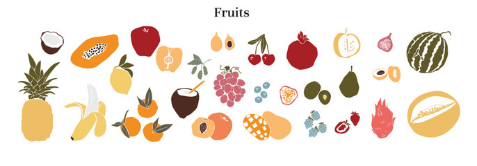 Vector Fruit Berries, Coconut, Bananas, Blueberry, Blackberry, Pomegranate, Cherry, Peach, Mango, Papaya, Orange, Pineapple, Grape