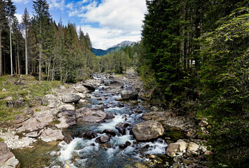 Blick auf einen Flusslauf der durch den Wald ins Tal f&uuml;hrt