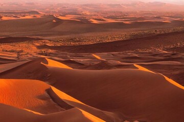 Plakat photo in desert