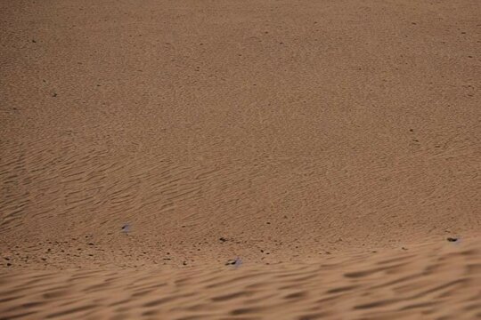 photo in desert
