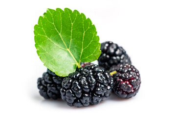 Mulberry fruits with green leaves isolated on white background.