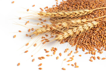 Grain and ears of wheat isolated on white background. Top view