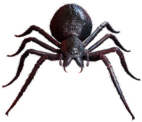Black giant spider 3D illustration - obrazy, fototapety, plakaty