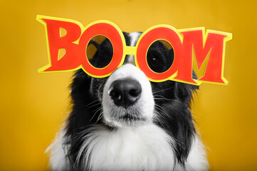 Boom Border