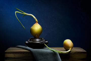 Fresh onion still life with moody light fine art. - 534551044