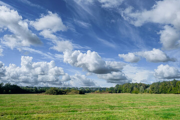 Naklejka premium Leemringveld, Voorsterbos, Flevoland province, The Netherlands