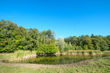 Leemringveld,  Voorsterbos, Flevoland province, The Netherlands