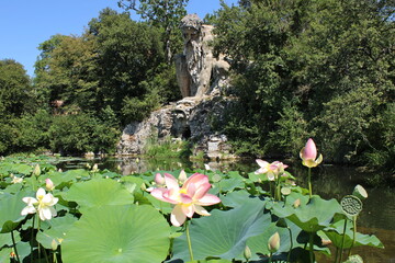 il gigante dell'appennino nel parco mediceo di pratolino
