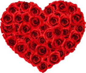 Rose heart shape for love wedding and valentines day