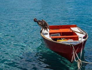  Views around the Caribbean island of Curacao
